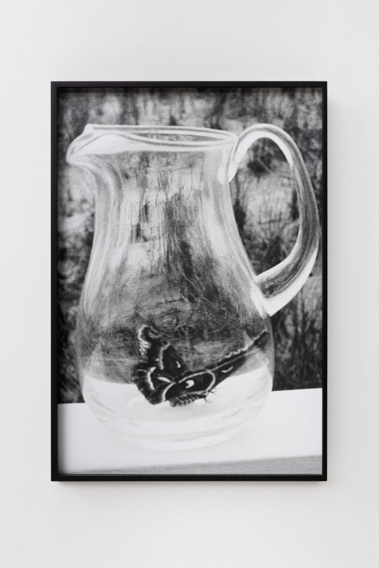 Talia Chetrit, Butterfly, 1995/2021