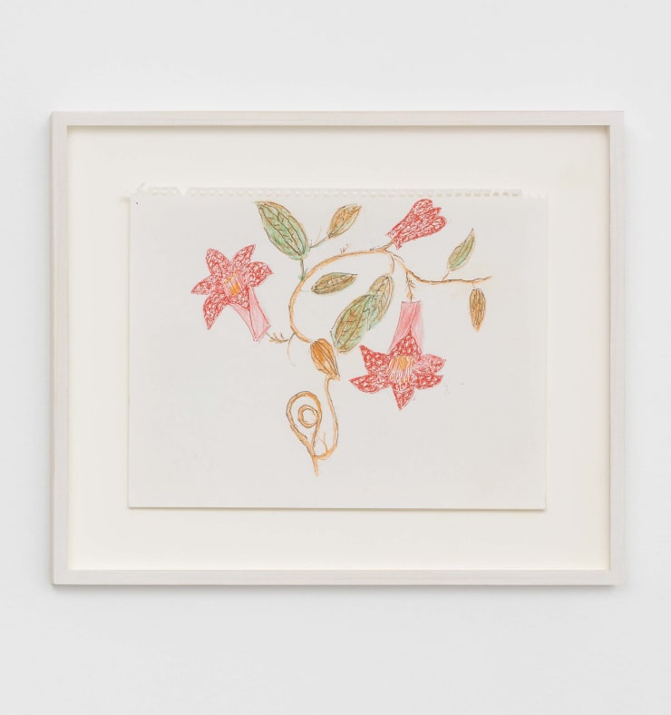 Magdalena Suarez Frimkess, Untitled, 2021