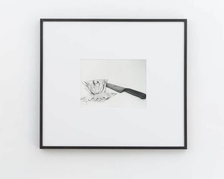 Talia Chetrit, Fennel, 2015