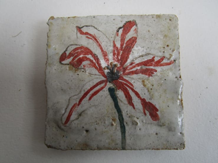 Magdalena Suarez Frimkess, Untitled, 2009