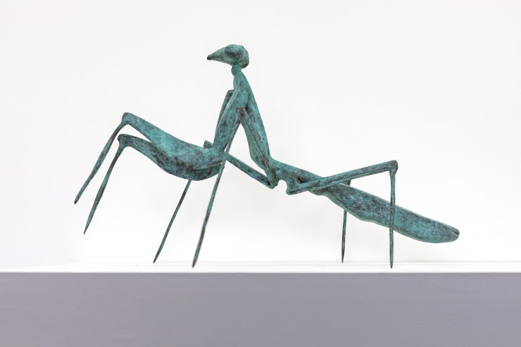 Praying Mantis, 2022