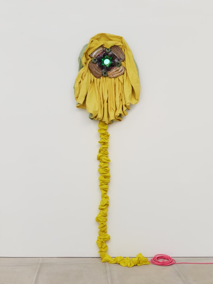 The Inside of Aliveness, 2024