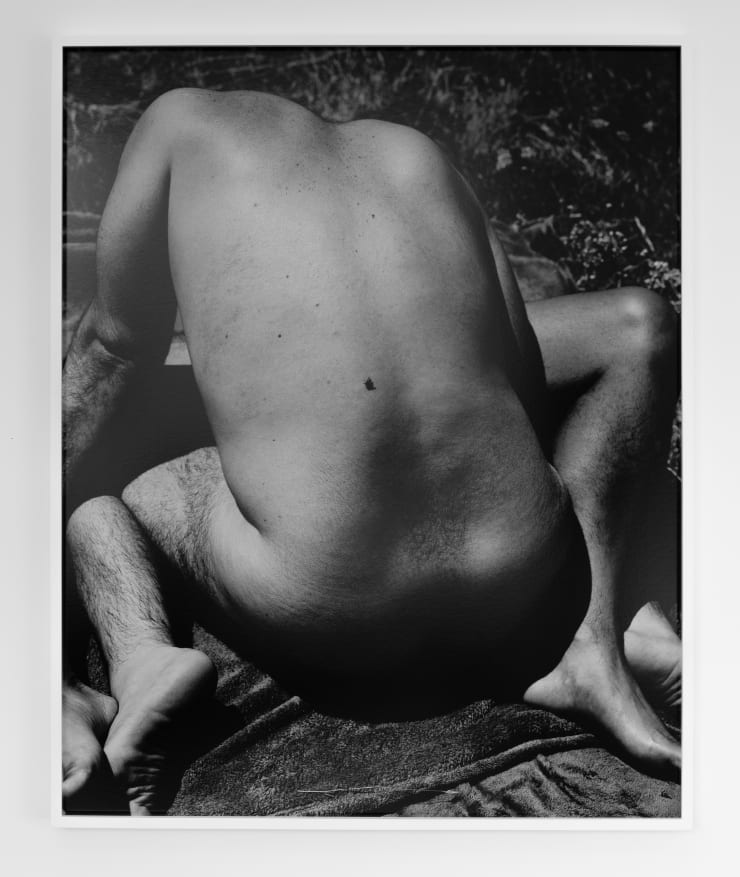 Black Fly with Bodies, 2021