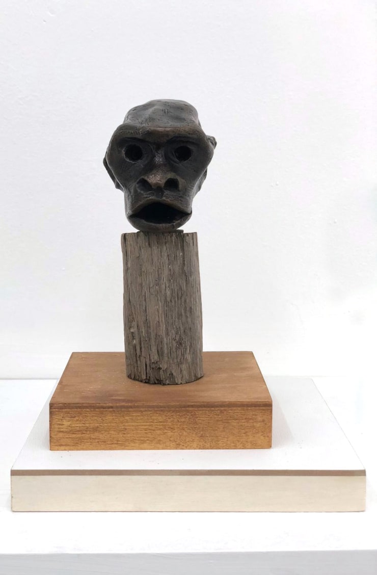 Small Primate, 2019