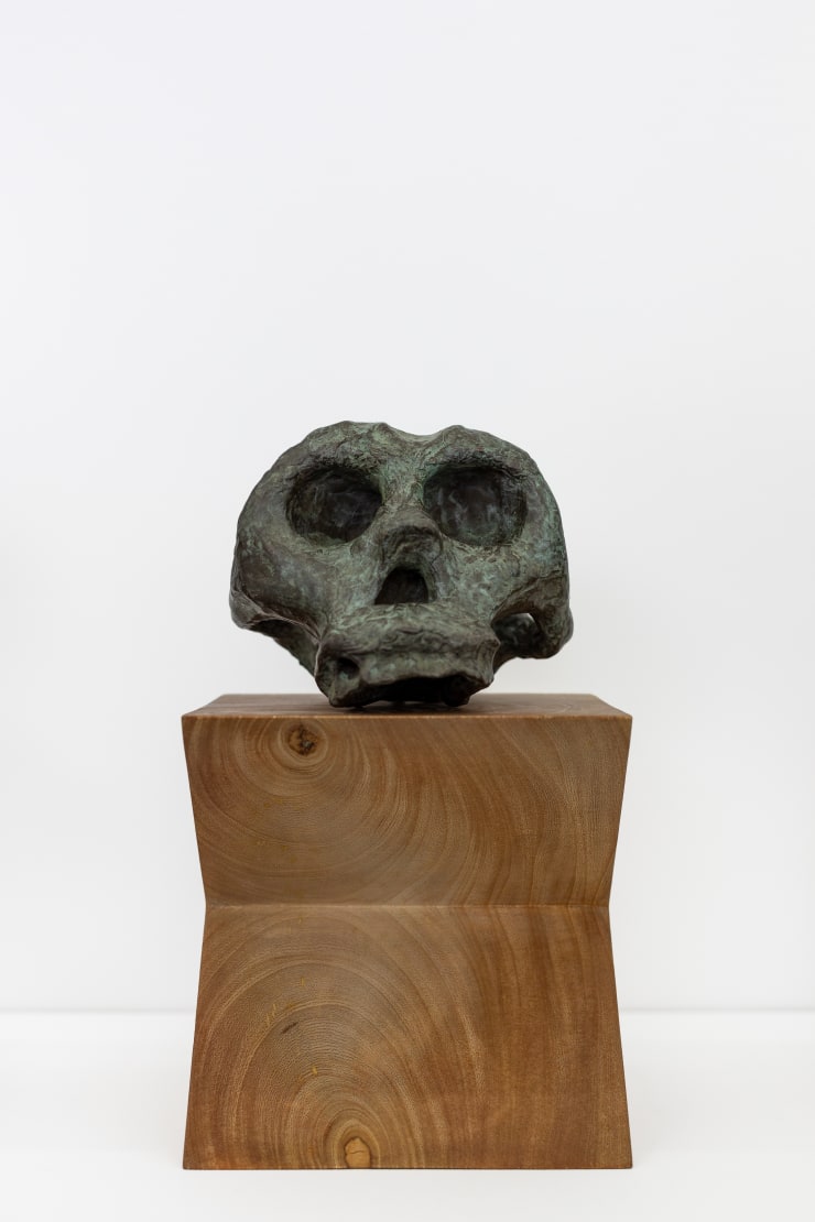 Skull, 2022