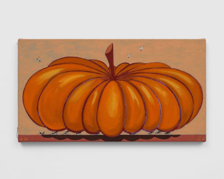Ants carry Pumpkin, 2023