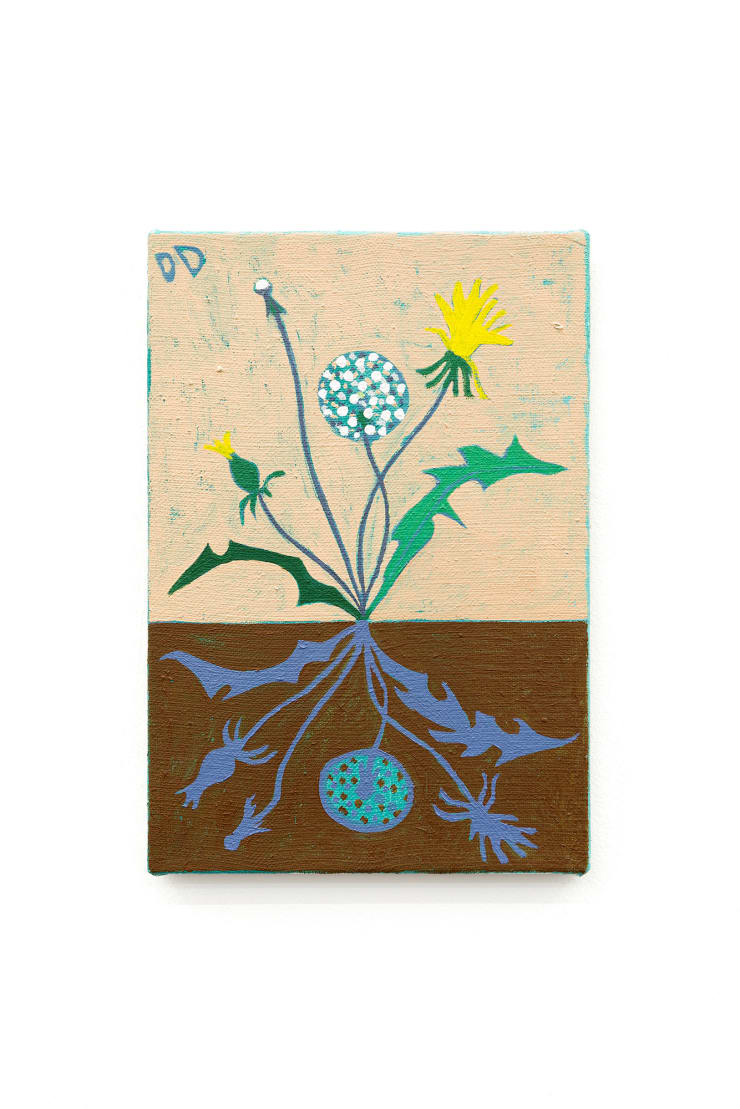 Dandelion Clock 4, 2021