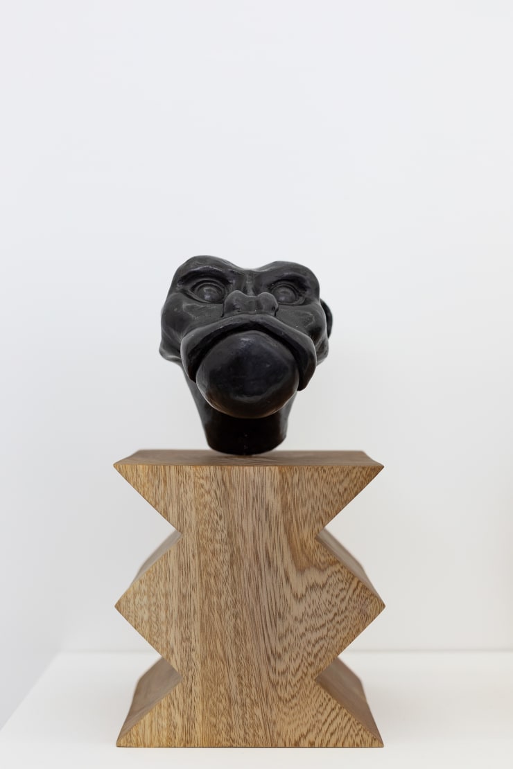 Ukari Monkey, 2022