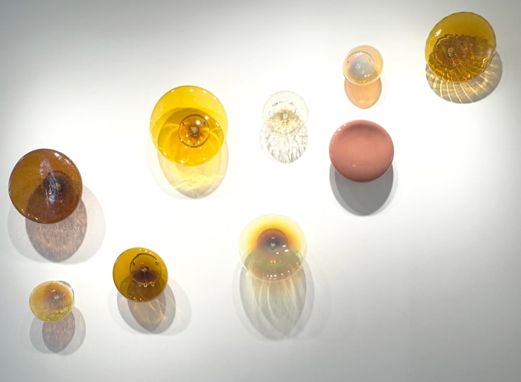 Austin Fields, Touch Series Installation, 2025