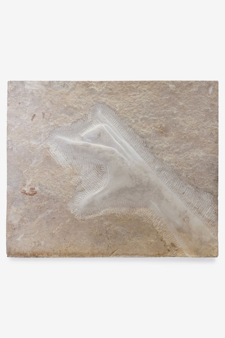 Lorenzo Lorenzetti, Fear monger