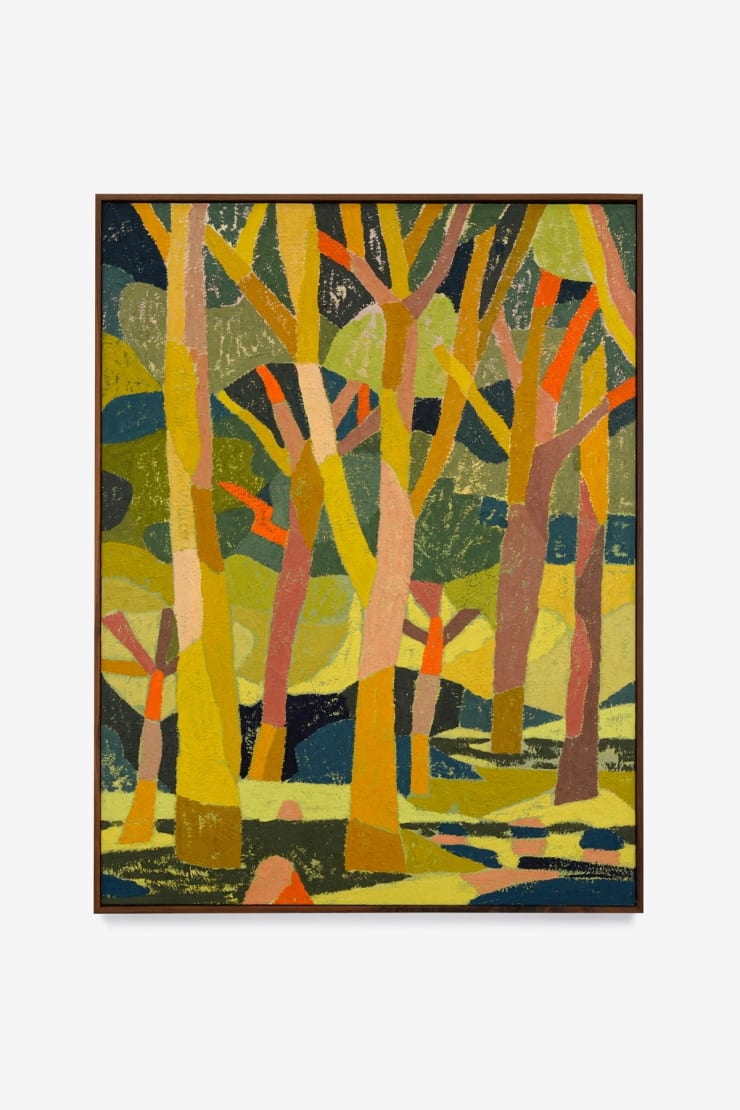 Abel Macias, Coastal Canopy, 2024