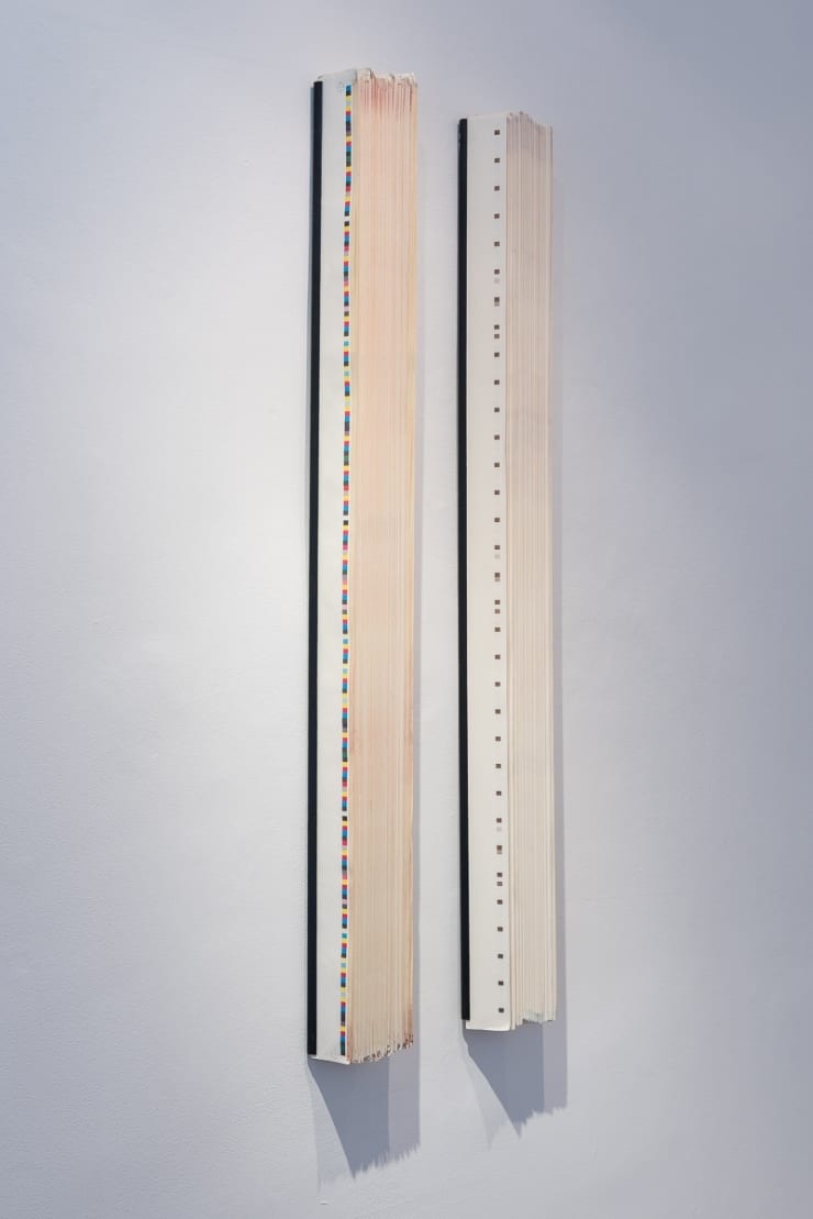 Dalila Gonçalves, Untitled (Aparas de Corte), 2016