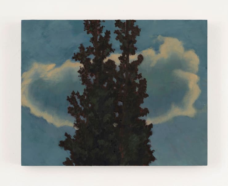 未命题/ Untitled, 2024