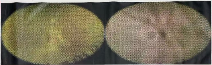 Wenfei Quan, Untitled, 2025