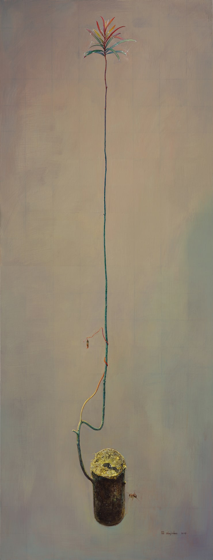 曲线, 2019