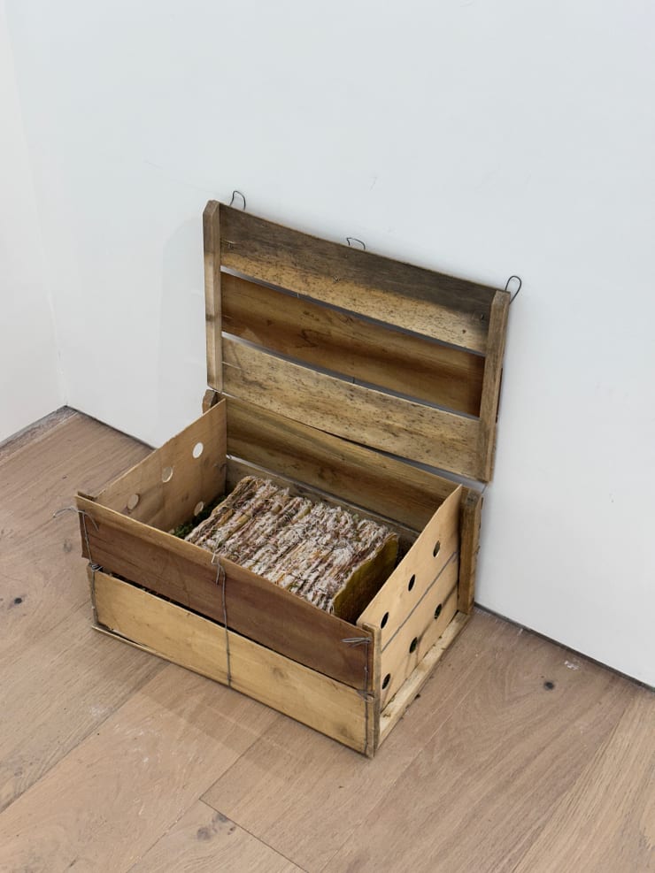 Rayer Ma, A Thousand and One, 2025