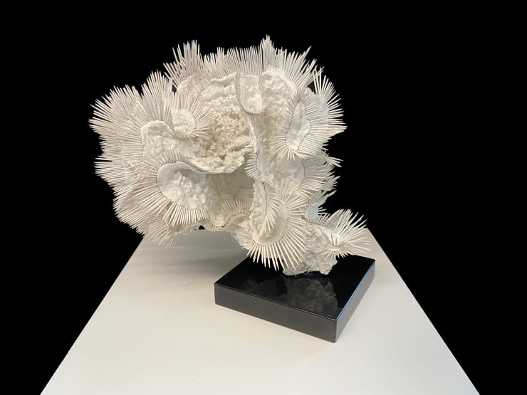 24 Million Years Ago (1)