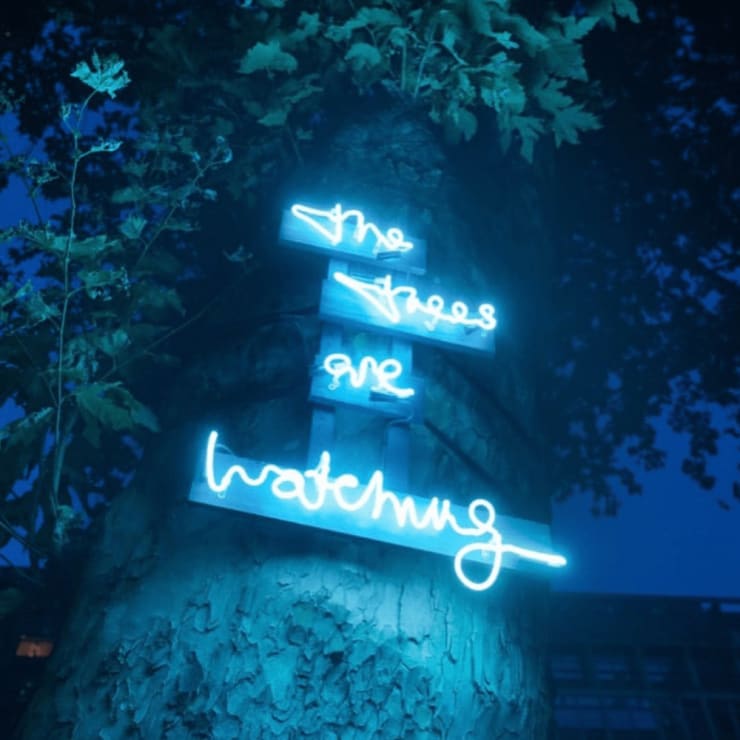 The Trees Are Watching Installation