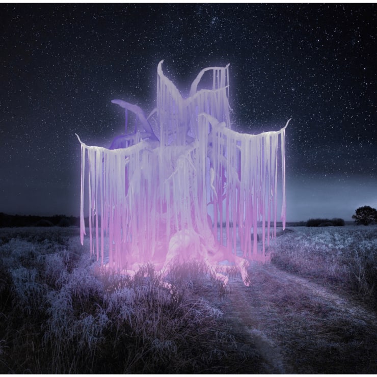 An Open Dialogue with Nature