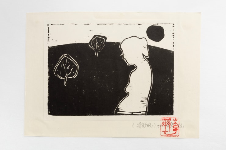 Li Shuang, Accepter le soleil, 1980