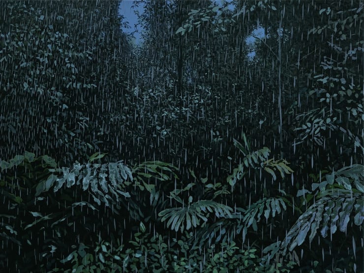 Rainforest II