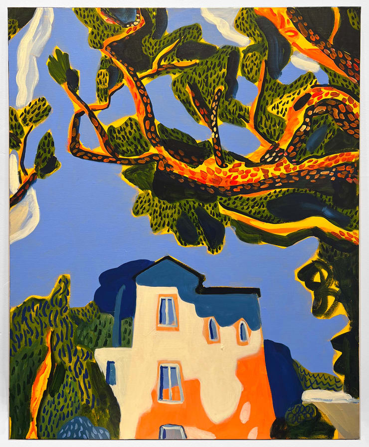 Arbres. Vue d'en bas