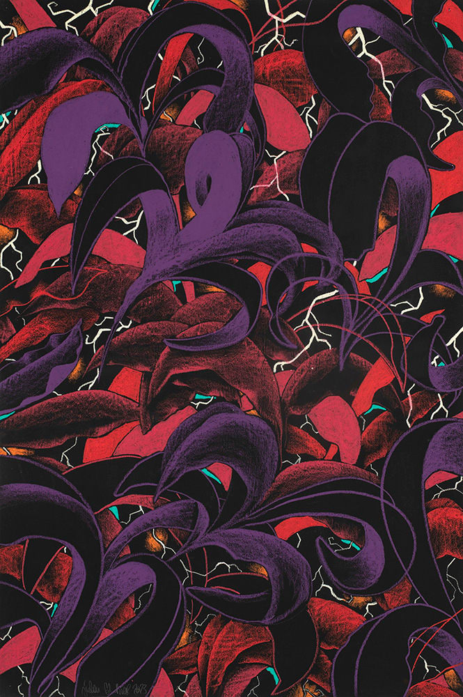 Rapsberry coup de foudre