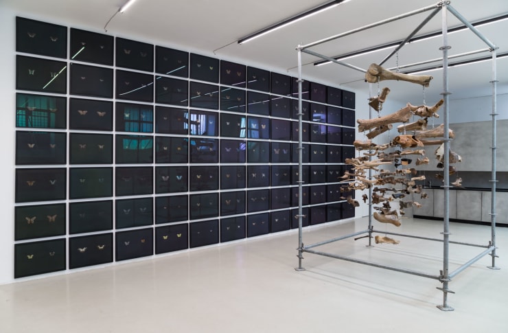 Maximilian Prüfer Installation View III, TIER, 2019
