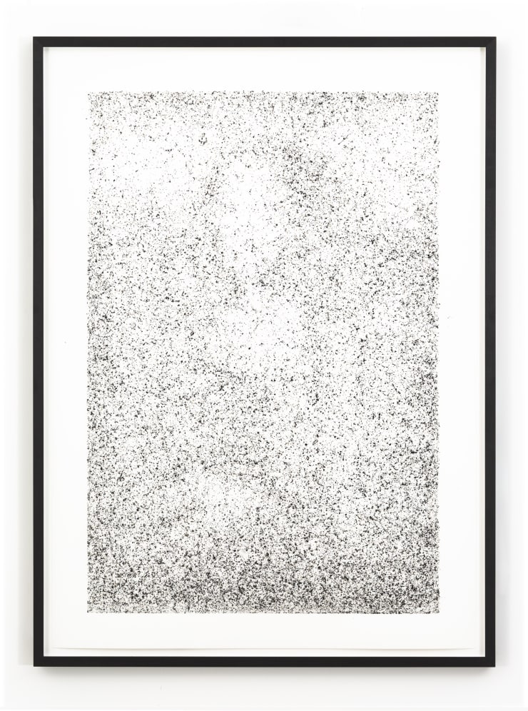 Maximilian Prüfer Mona Lisa (La Gioconda) 1, 2019 Fly-Behavior Hadern-Paper 90.2 x 64.4 cm 35 1/2 x 25 3/8 in