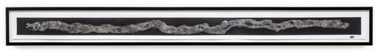 Maximilian Prüfer -->, 2016 Naturantypie Traces of a controlled snail, Paper, Maple Frame incl. Artist Frame 12.5 × 172 cm 4 9/10 × 67 7/10 in