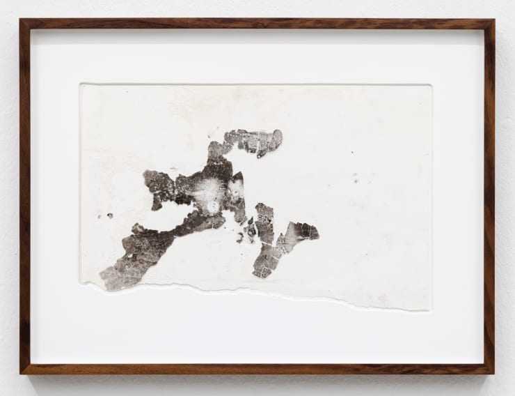 Maximilian Prüfer Experiment - Beschichtung, 2010 Naturantypie on Paper 38,7 x 51,7 cm (framed) 24,5 x 38 cm (unframed)