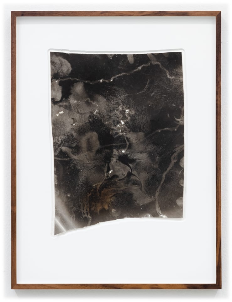 Maximilian Prüfer Experiment - Portrait, 2011 Naturantypie on Paper 91,6 x 68,8 cm (framed) 60,5 x 52,5 cm (unframed)