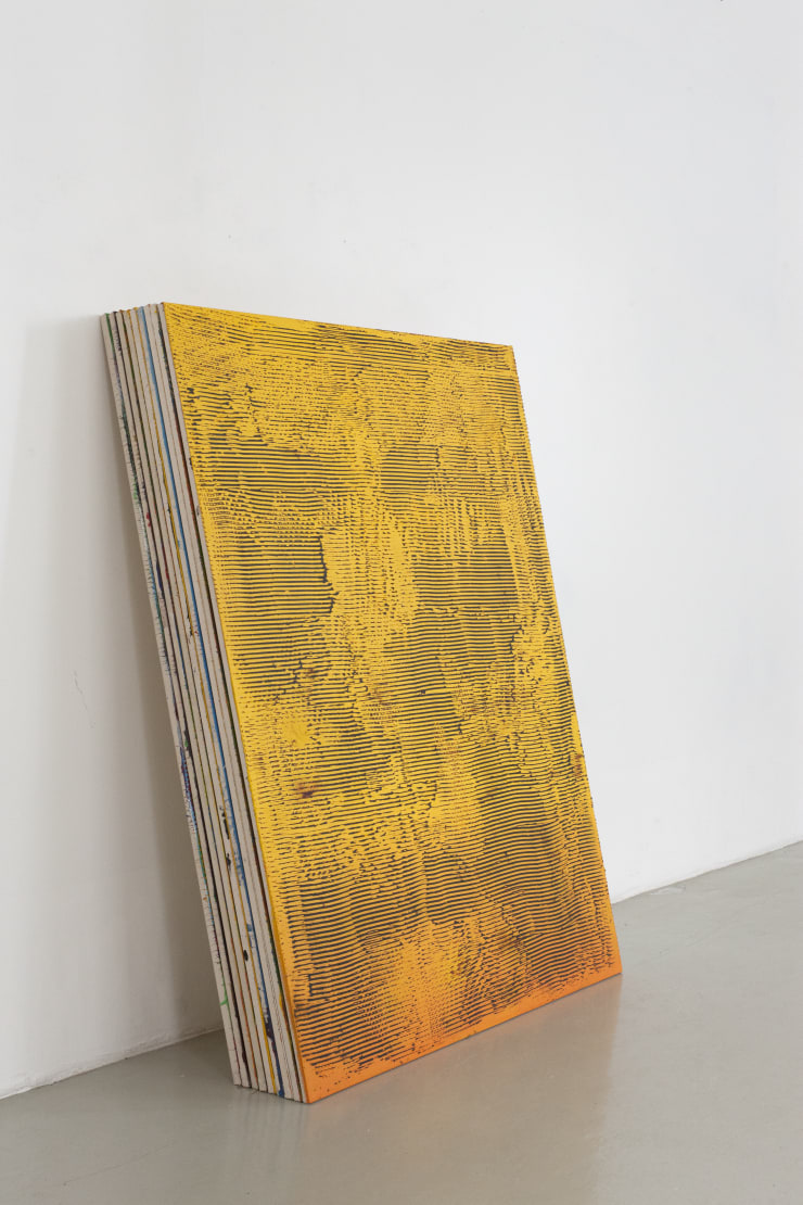 INSTALLATION VIEW: TIAGO TEBET III, 2018