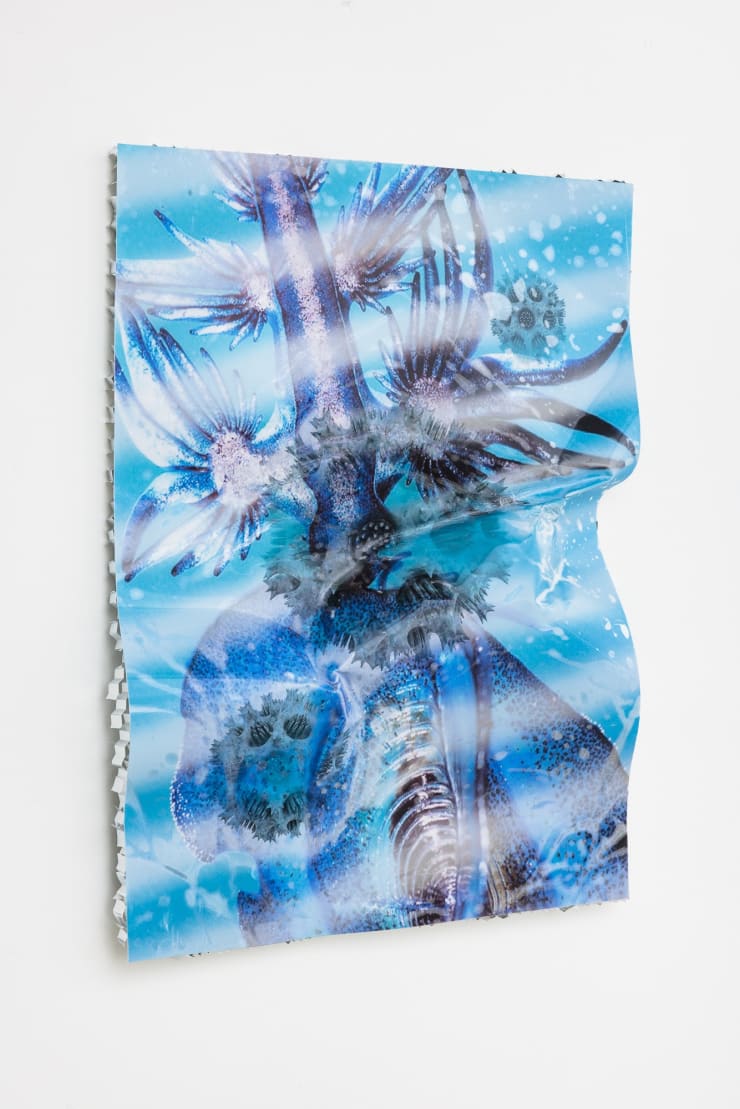 Estrid Lutz Collapse 0000003, 2023 Inject prints on photographic paper-lenses UV treated-air injected, honeycomb aluminium anti corosion/high temperature resistant, epoxy-resin, glass fibre 102 x 71 x 15 cm 40 1/8 x 28 x 5 7/8 in