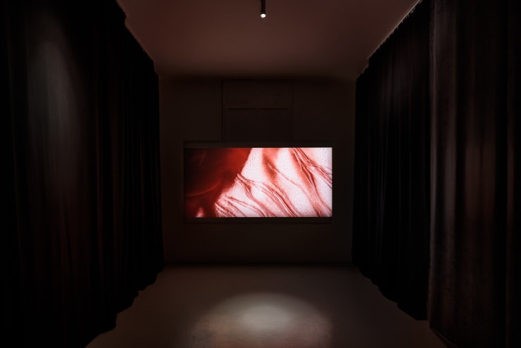 Installation View, Materia