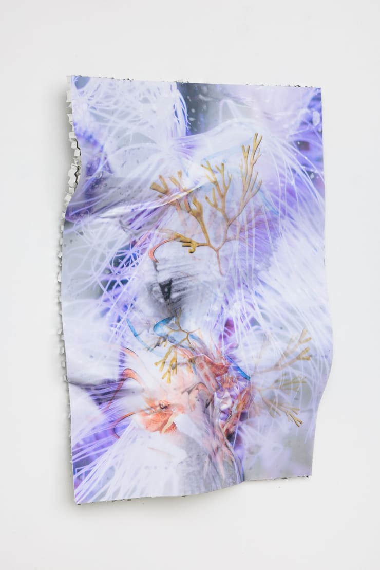 Estrid Lutz Collapse 0000006, 2023 Inject prints on photographic paper-lenses UV treated-air injected, honeycomb aluminium anti corosion/high temperature resistant, epoxy-resin, glass fibre 103 x 71 x 15 cm 40 1/2 x 28 x 5 7/8 in