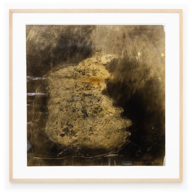 Maximilian Prüfer Gefrieren, 2010 Naturantypie on Paper 82 x 82 cm (framed) 66 x 66 cm (unframed)