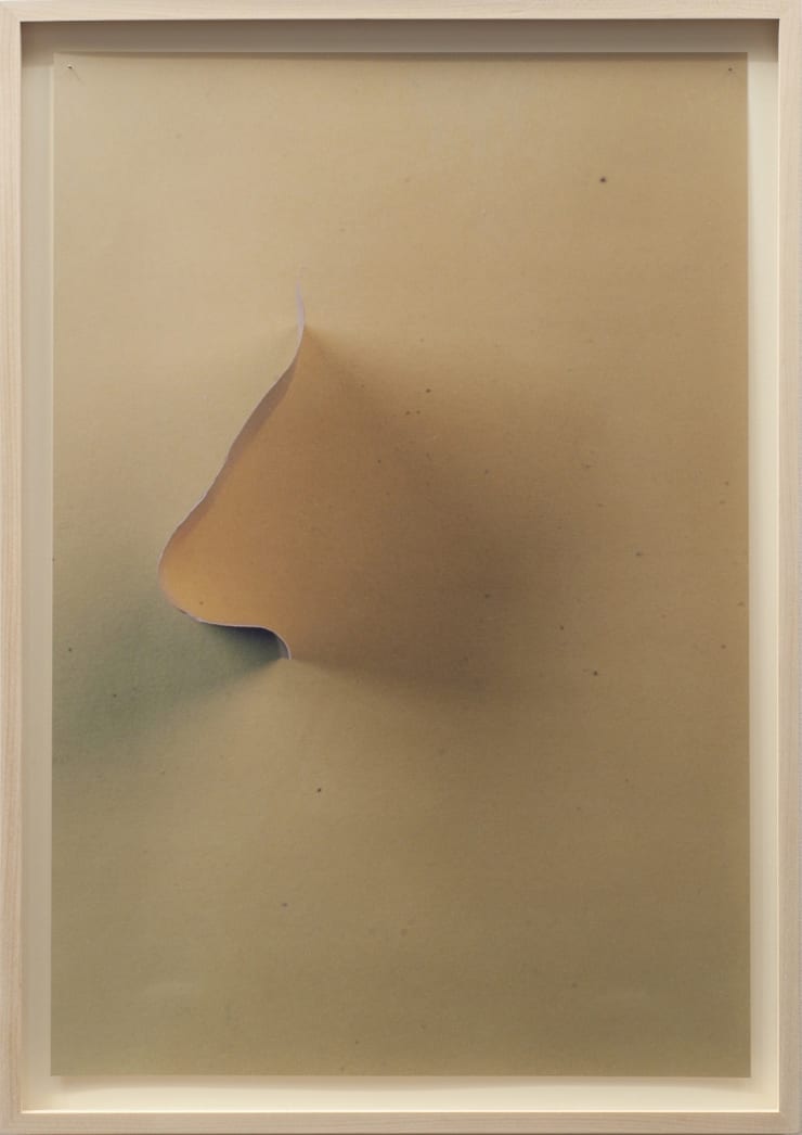 N. (If Someone Makes A Sound, And Its Waveform is Identical To The Profile Of Their Nose Then...)