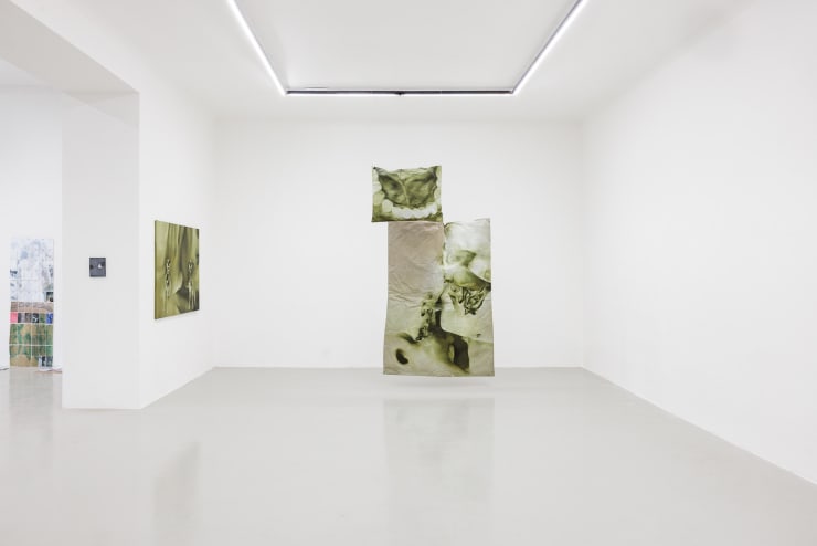 Installation View: Systems of Subversion: Paulina Aumayr, Allen-Golder Carpenter, Thomas Supper, 2025