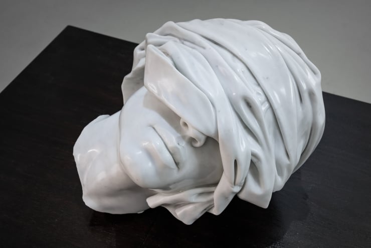 Study of the Head as Cultural Artefacts