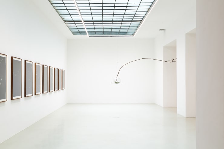 Maximilian Prüfer Installation View: Maximilian Prüfer, INWELT, 2021