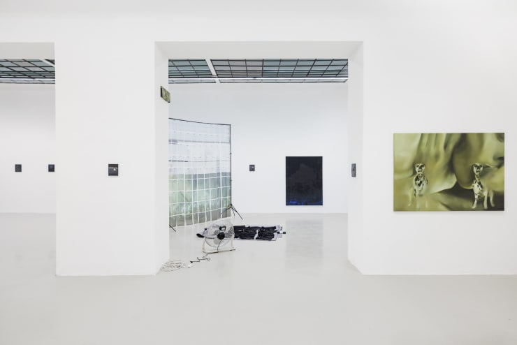 Installation View: Systems of Subversion: Paulina Aumayr, Allen-Golder Carpenter, Thomas Supper, 2025