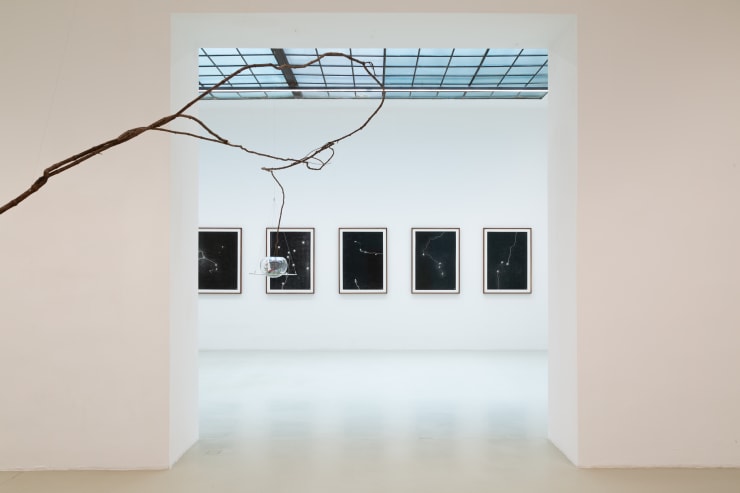 Maximilian Prüfer Installation View: Maximilian Prüfer, INWELT, 2021