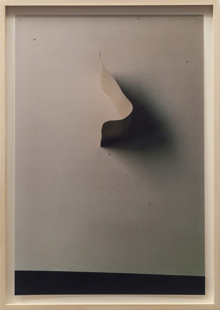 N. (If Someone Makes A Sound, And Its Waveform is Identical To The Profile Of Their Nose Then...)