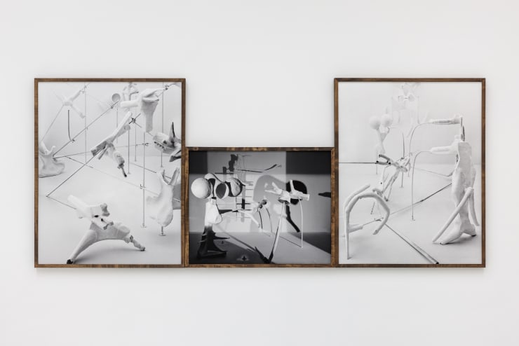 Rodrigo Valenzuela Installation View: Deviants, 2023