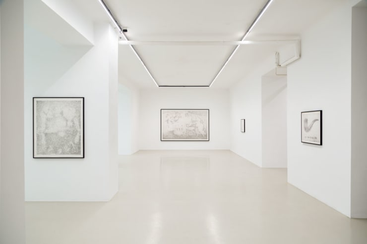 Maximilian Prüfer Installation View II, TIER, 2019