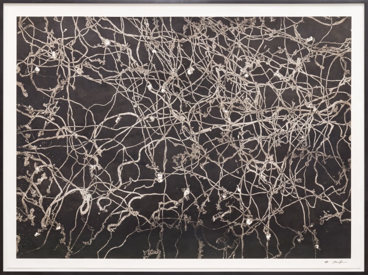 Maximilian Prüfer ^2 Snail picture, 2016 Naturantypie, Paper exl. frame 180.5 x 241 cm 71 1/8 x 94 7/8 in