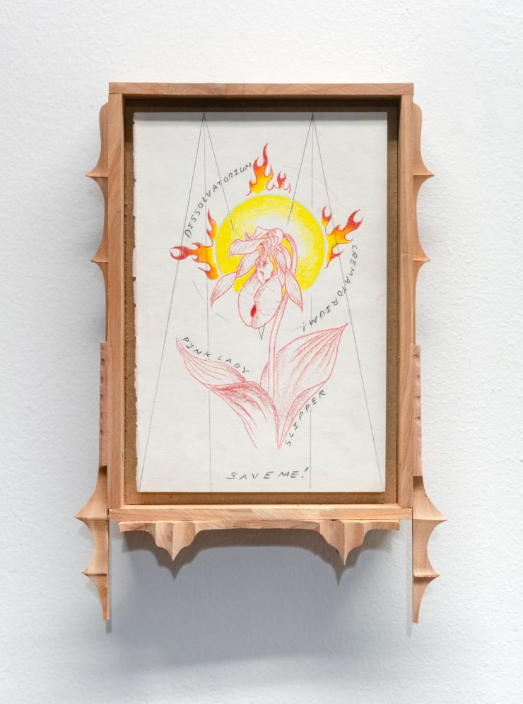 Harry Gould Harvey IV Cypripedium Acaule, 2020 Charcoal and colored pencil on paper, MDF, Foraged Eastern Red Cedar 29.21 × 20.32 × 5.72 cm 11 ½ × 8 × 2 ¼ in.