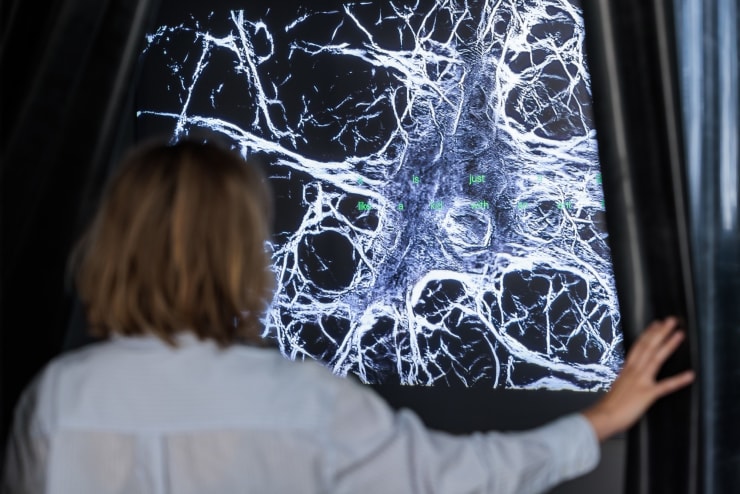 Davide Bernardis Installation View , 2023