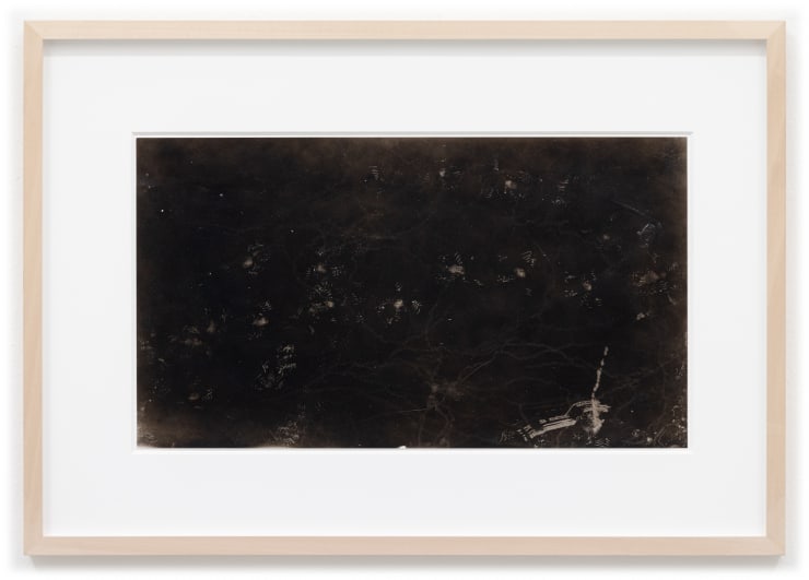 Maximilian Prüfer Frosch, 2010 Naturantypie on Paper 57 x 81 cm (framed) 33 x 58,5 cm (unframed)